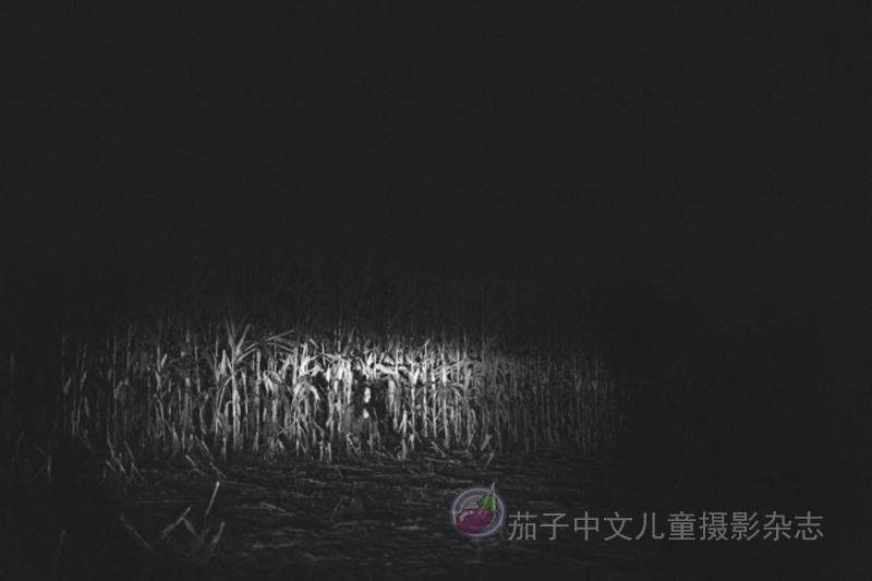 茄子 中文 儿童摄影 杂志