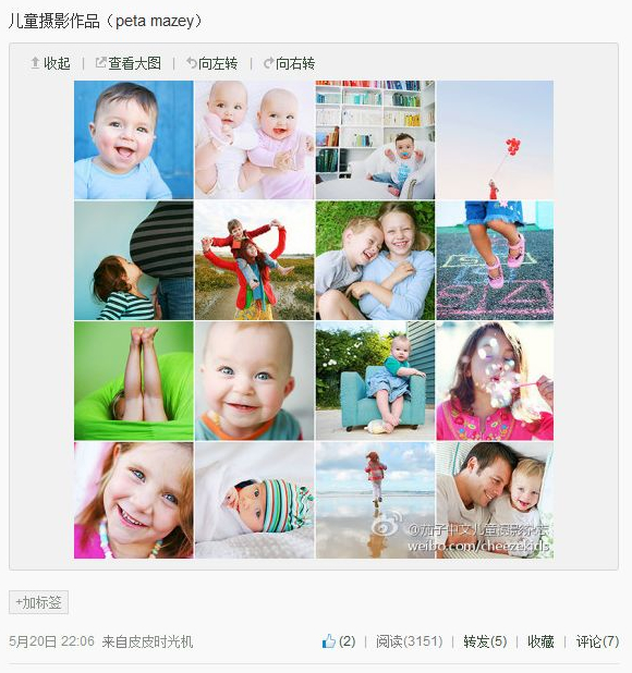 茄子中文儿童摄影杂志