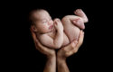 Jessica Loren的新生儿摄影
