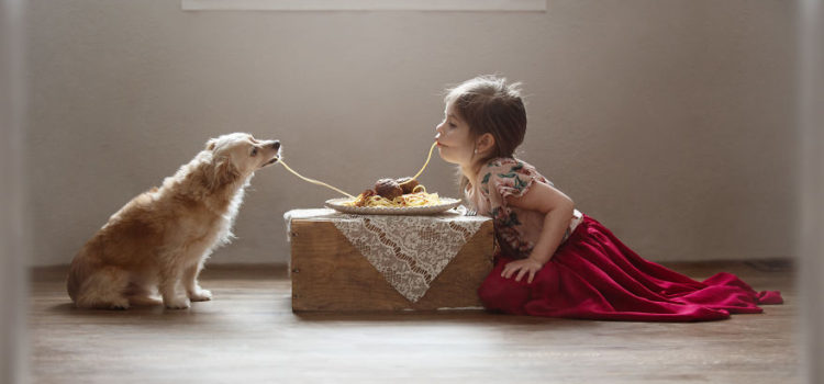 暖心瞬间摄影丨孩子与宠物的美好友谊